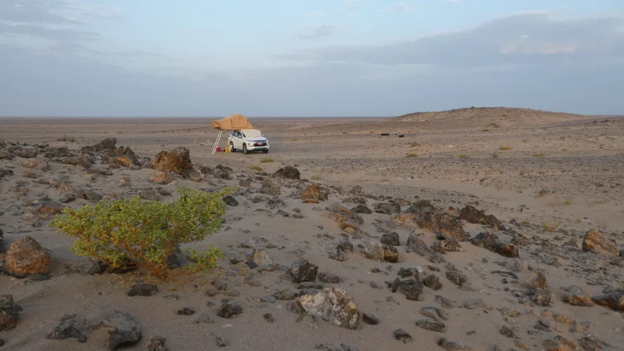 231111 Al Ghabah (1).webp