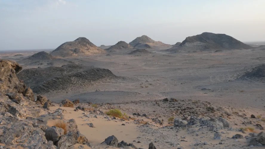 231111 Al Ghabah (5).webp