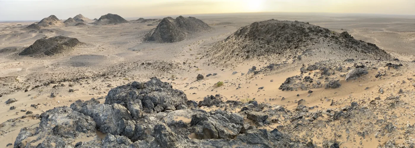 231111 Al Ghabah (8).webp