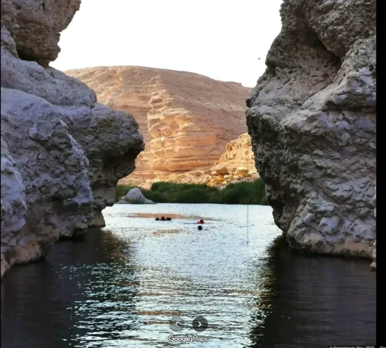 Screenshot 2026-01-17 at 14-34-52 Ain Ayuoon عين عيون - Google Maps.webp