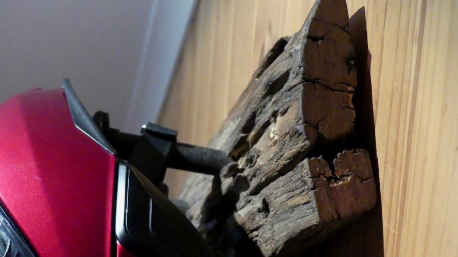 P1130886.JPG