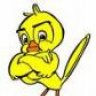 Canary
