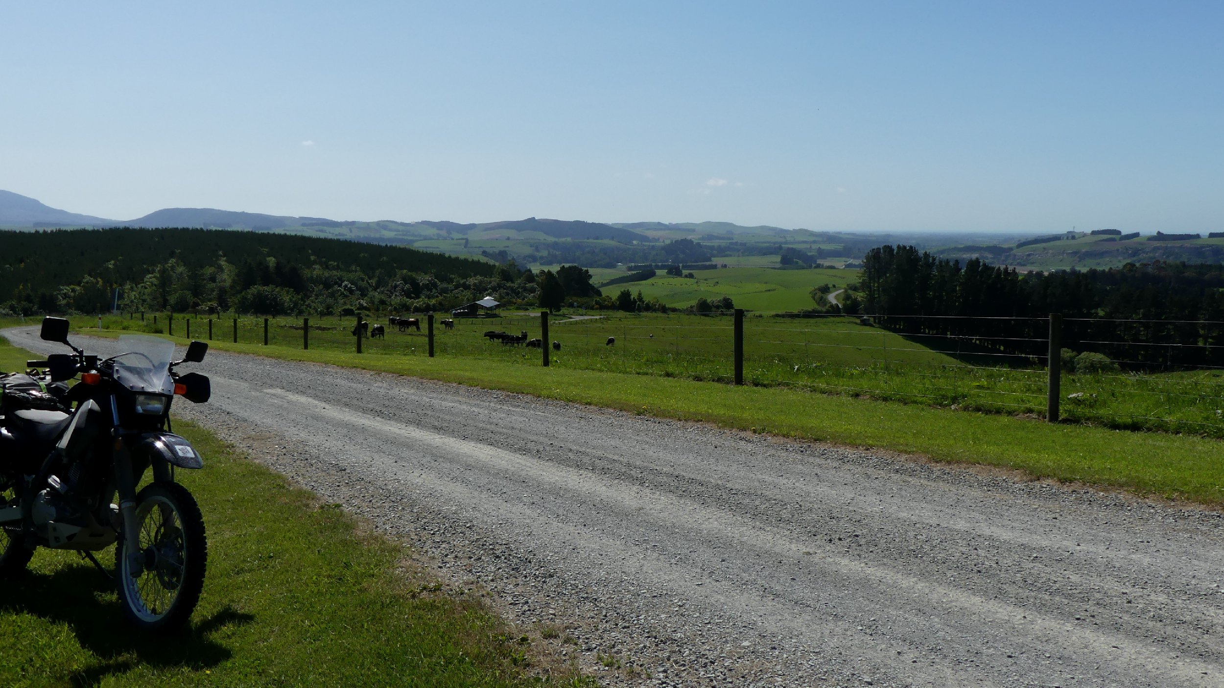 2024_NZ_SI_221.JPG