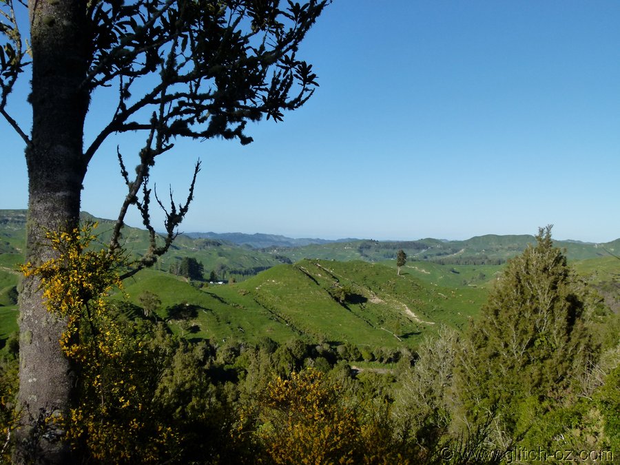 NZ_Nov12_0134.JPG