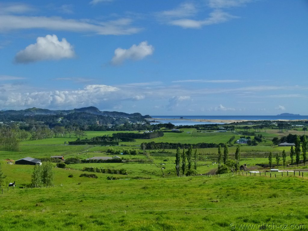 Tiddlers_NZ14_336.JPG