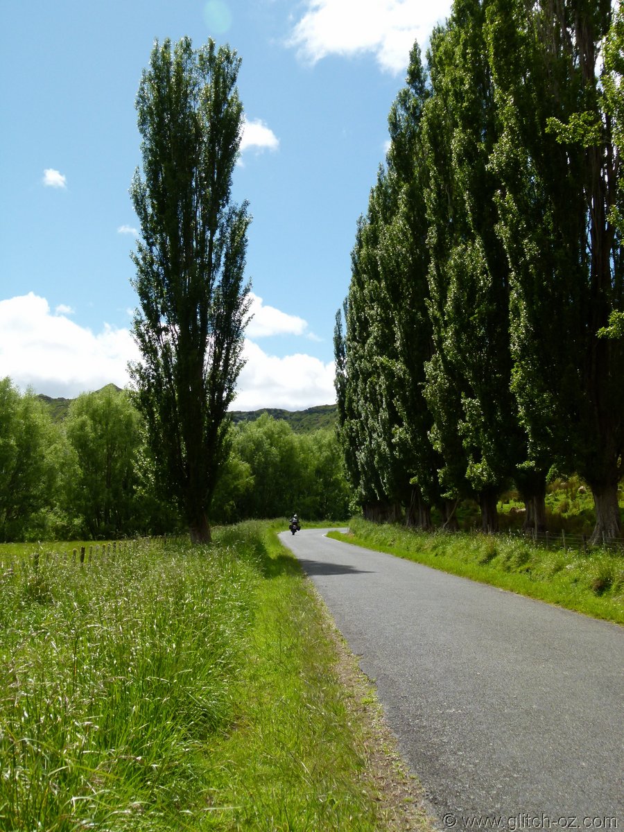 NZ_Nov12_0101.JPG