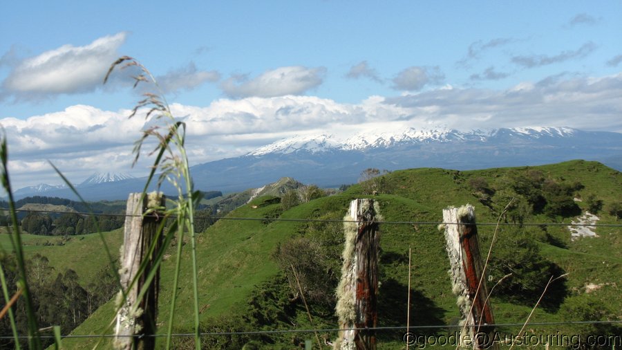 Goodie_NZ12_0027.JPG