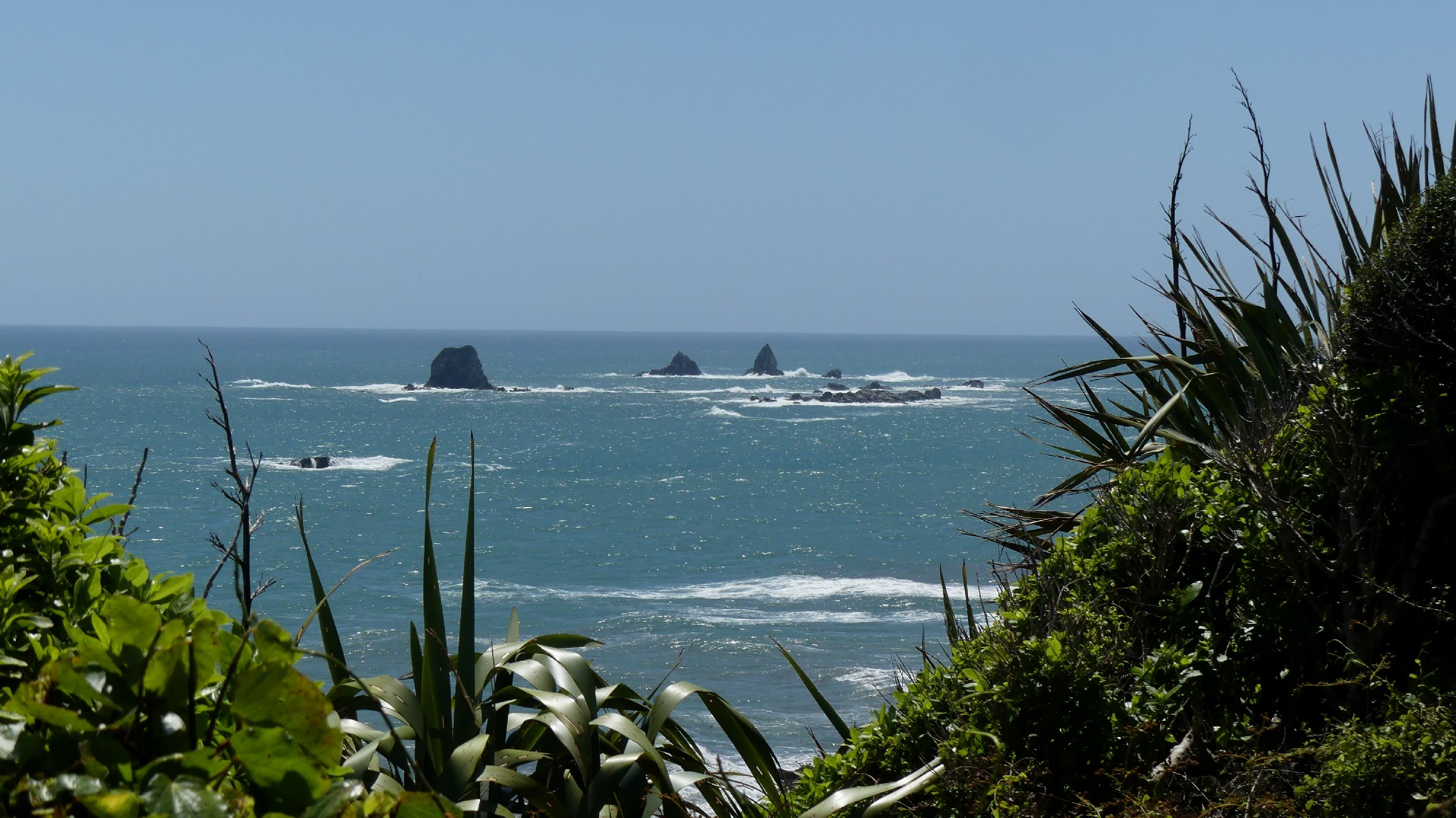 2024_NZ_SI_180.JPG