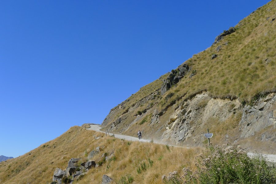 NZ_Feb13_0146b.JPG