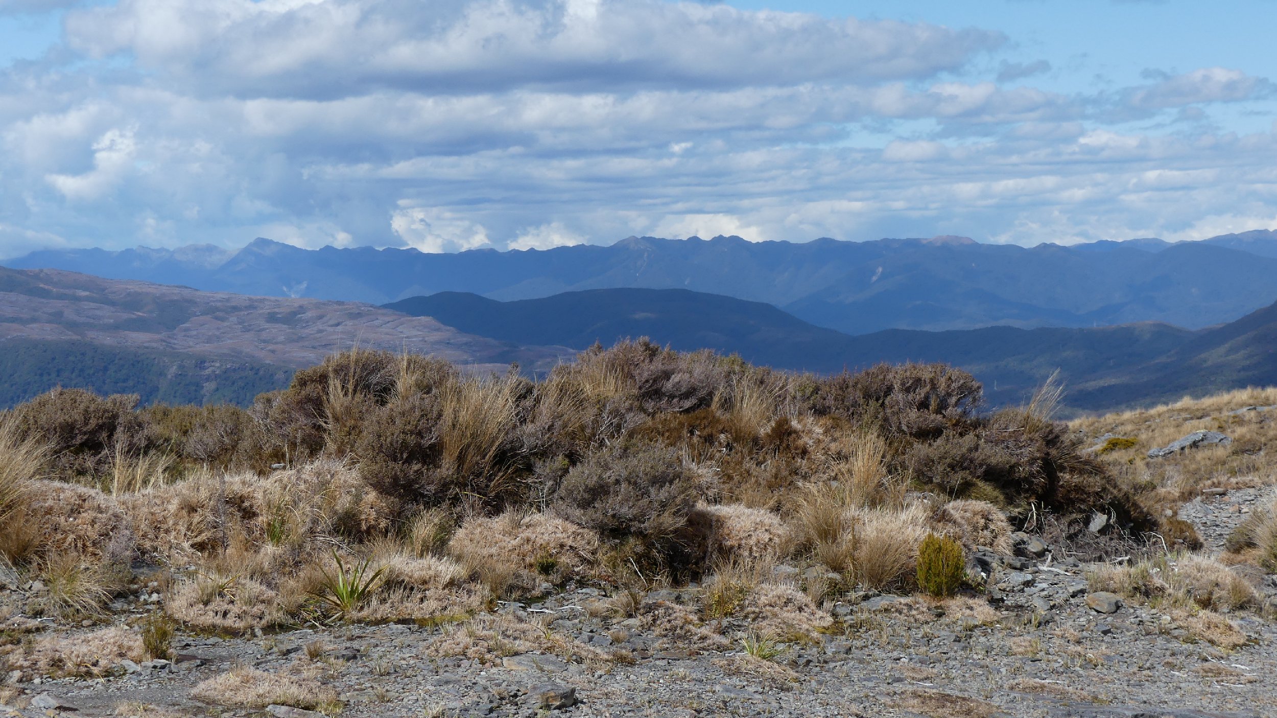 2024_NZ_SI_186.JPG