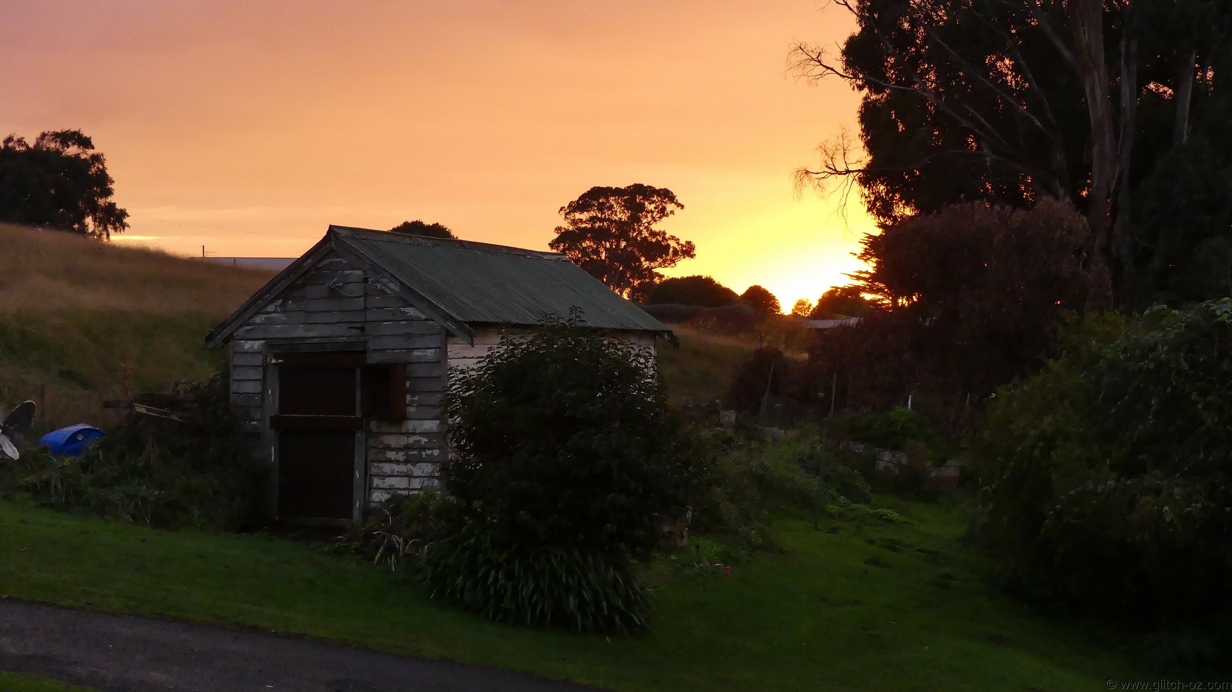 Pete_Tassie_26_384.JPG