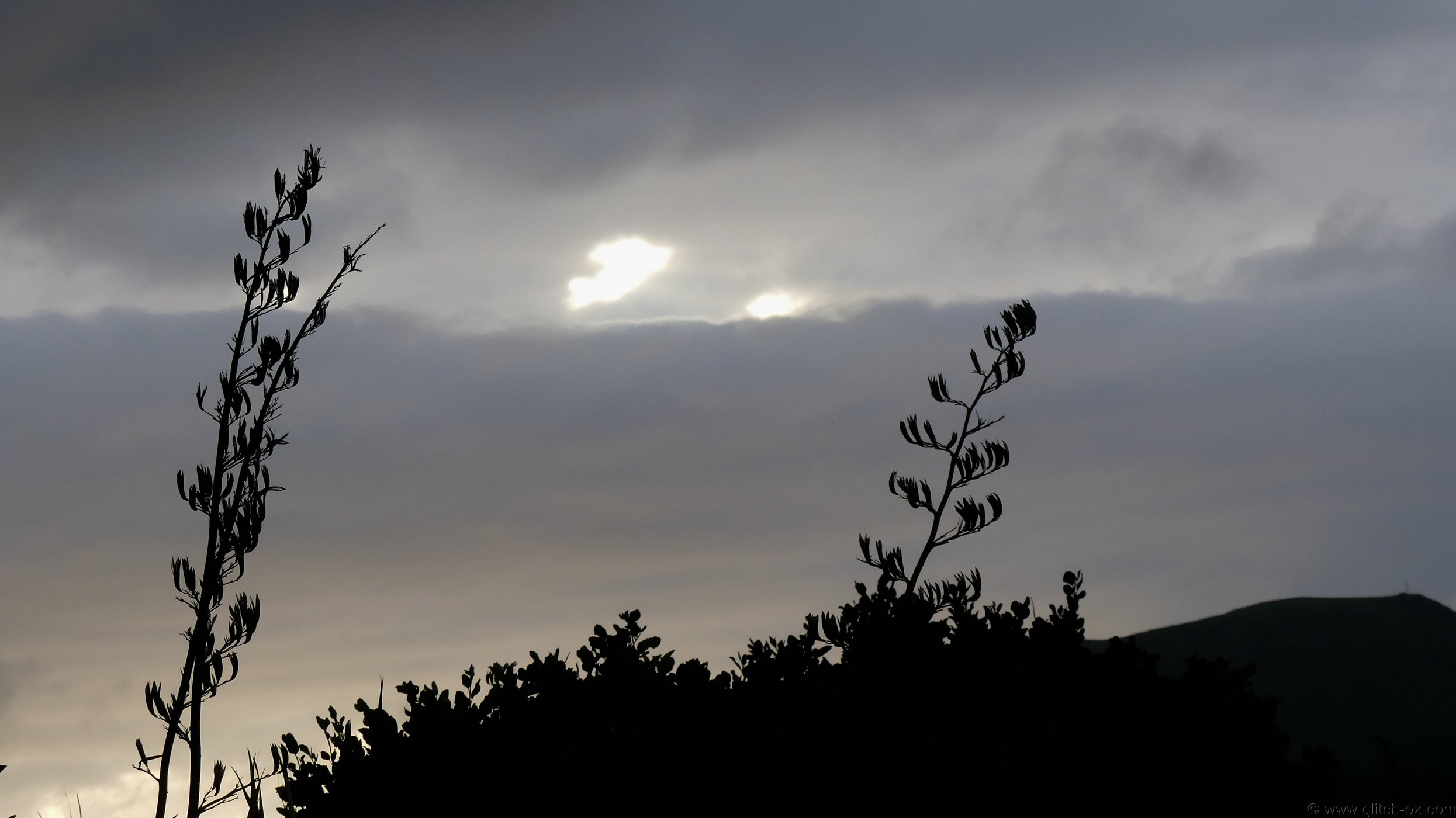 Northland_056.JPG