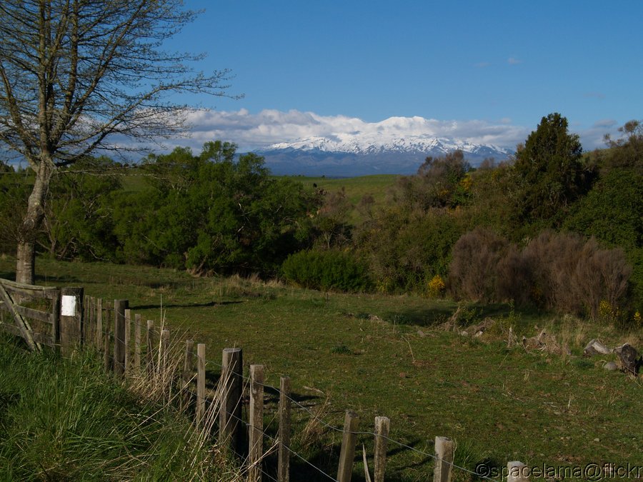TimC_0027.JPG
