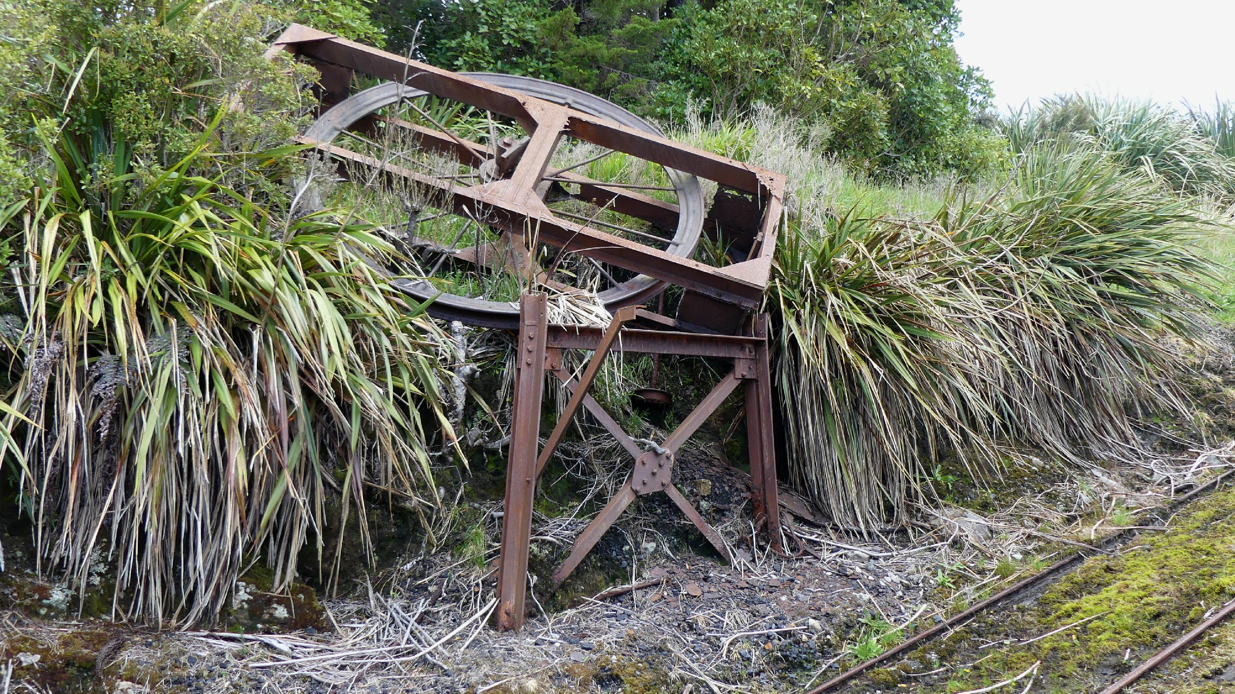 2024_NZ_SI_182.JPG