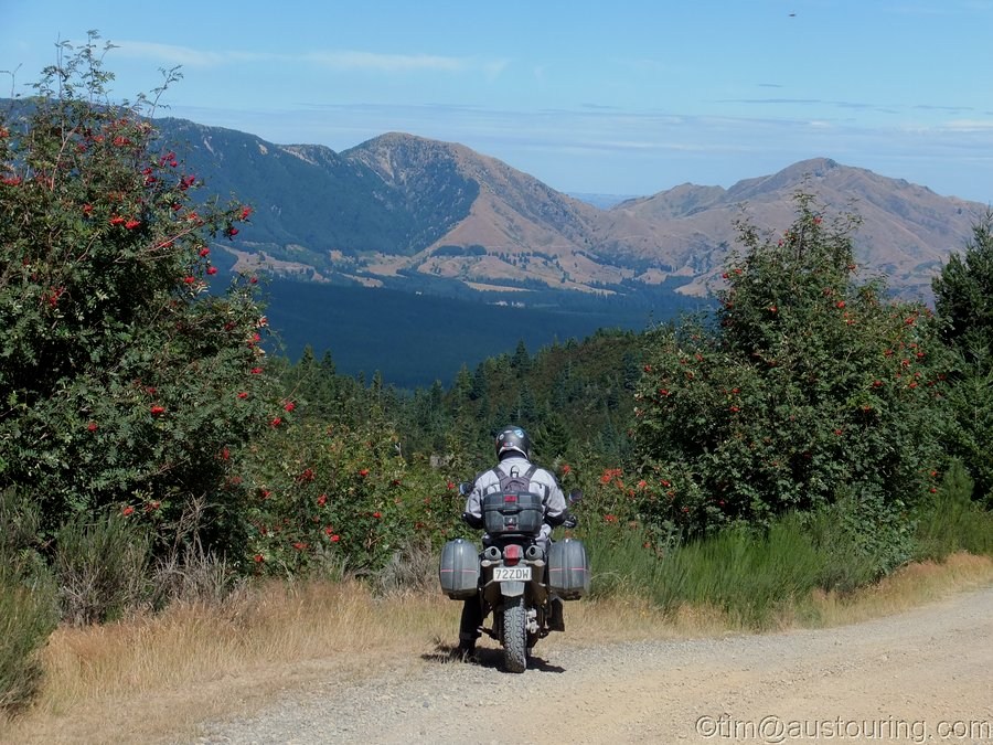 NZ_Feb13_0411.JPG