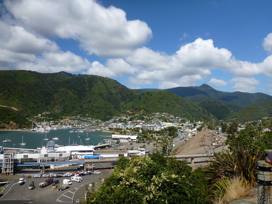 NZ_Feb13_0368.JPG
