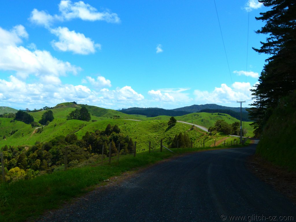 Tiddlers_NZ14_356.JPG