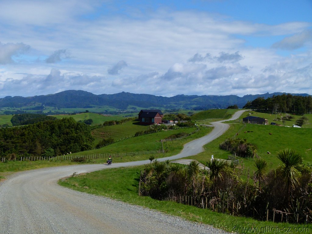 Tiddlers_NZ14_339.JPG