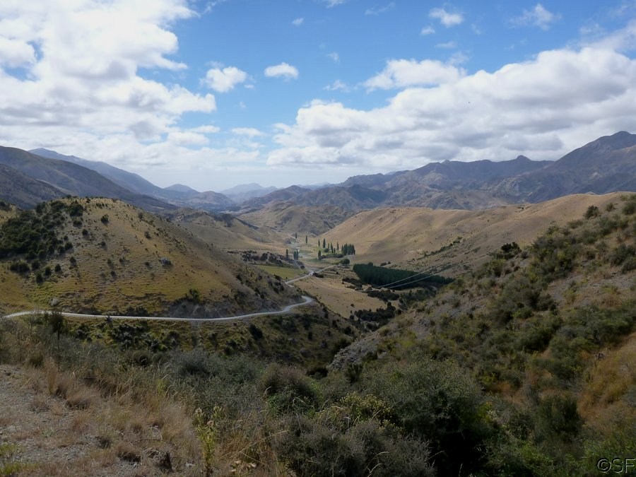 NZ_Feb13_0436.JPG