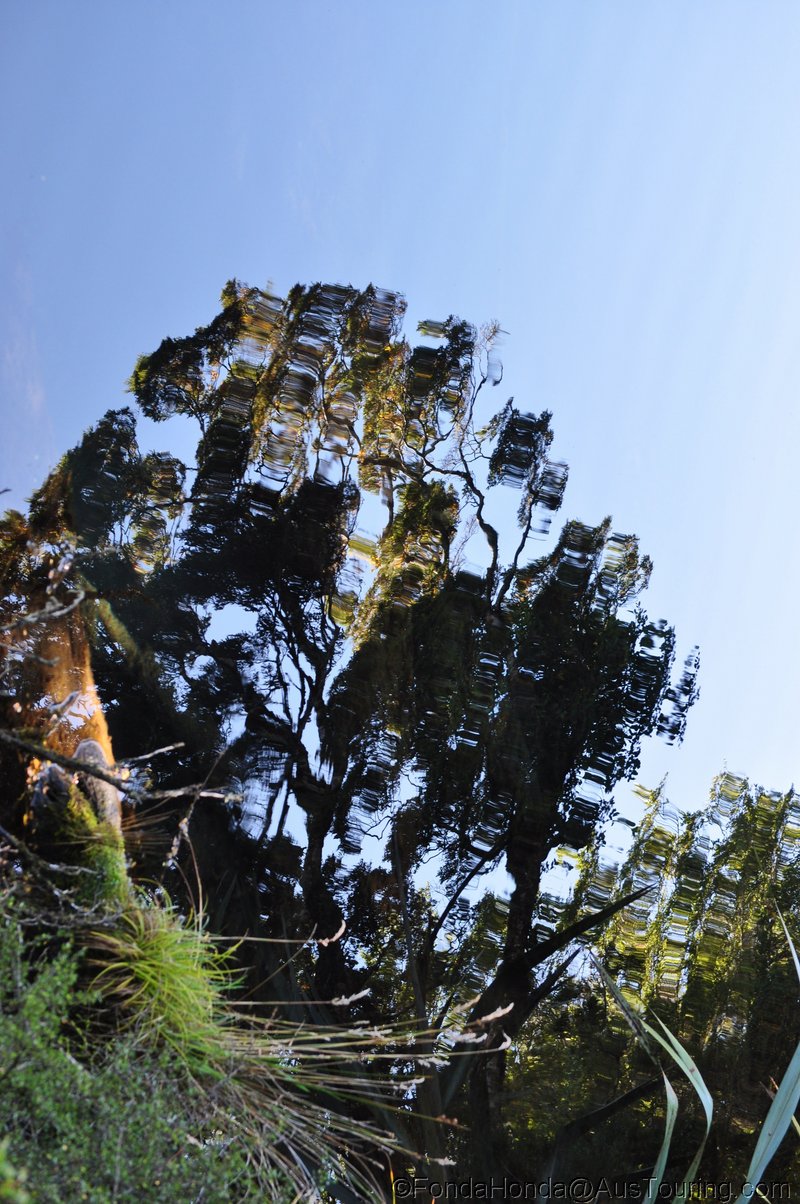 NZ_SI_2012_0760.JPG