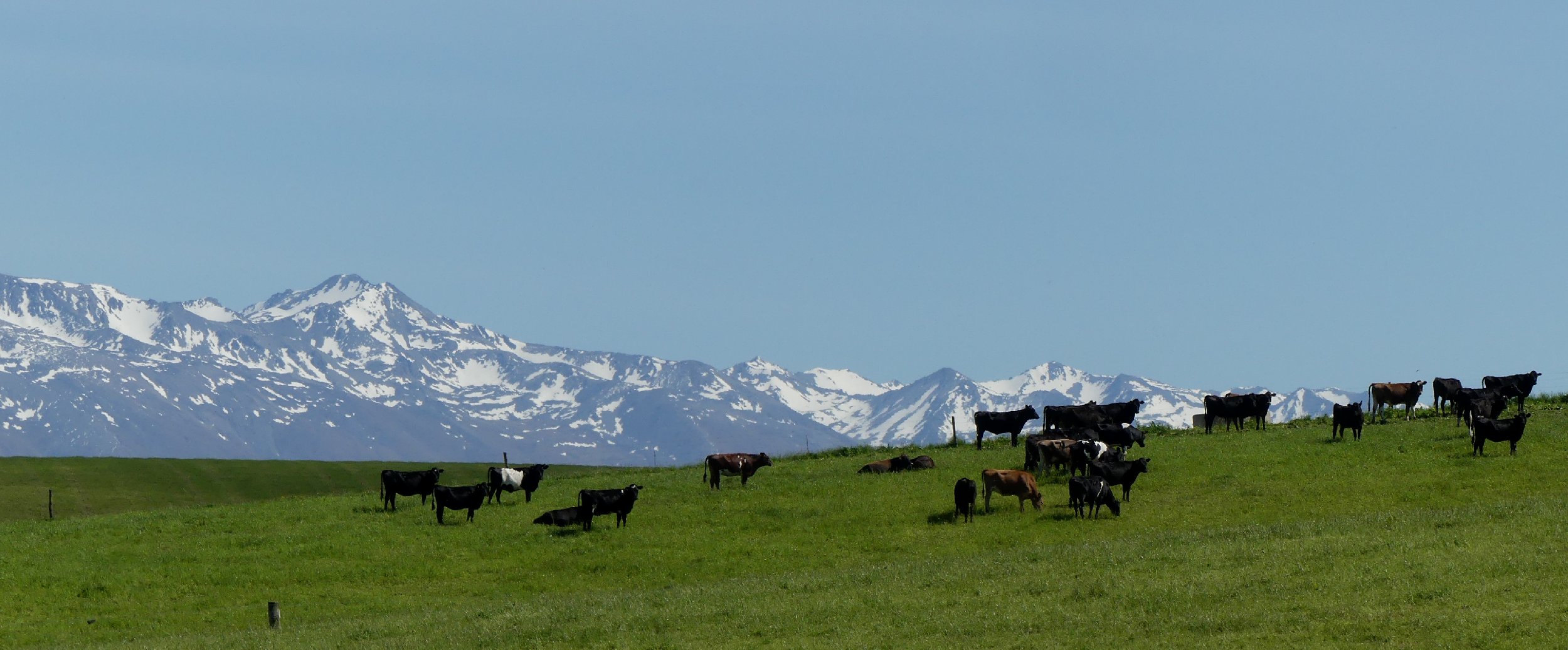 2024_NZ_SI_222.JPG