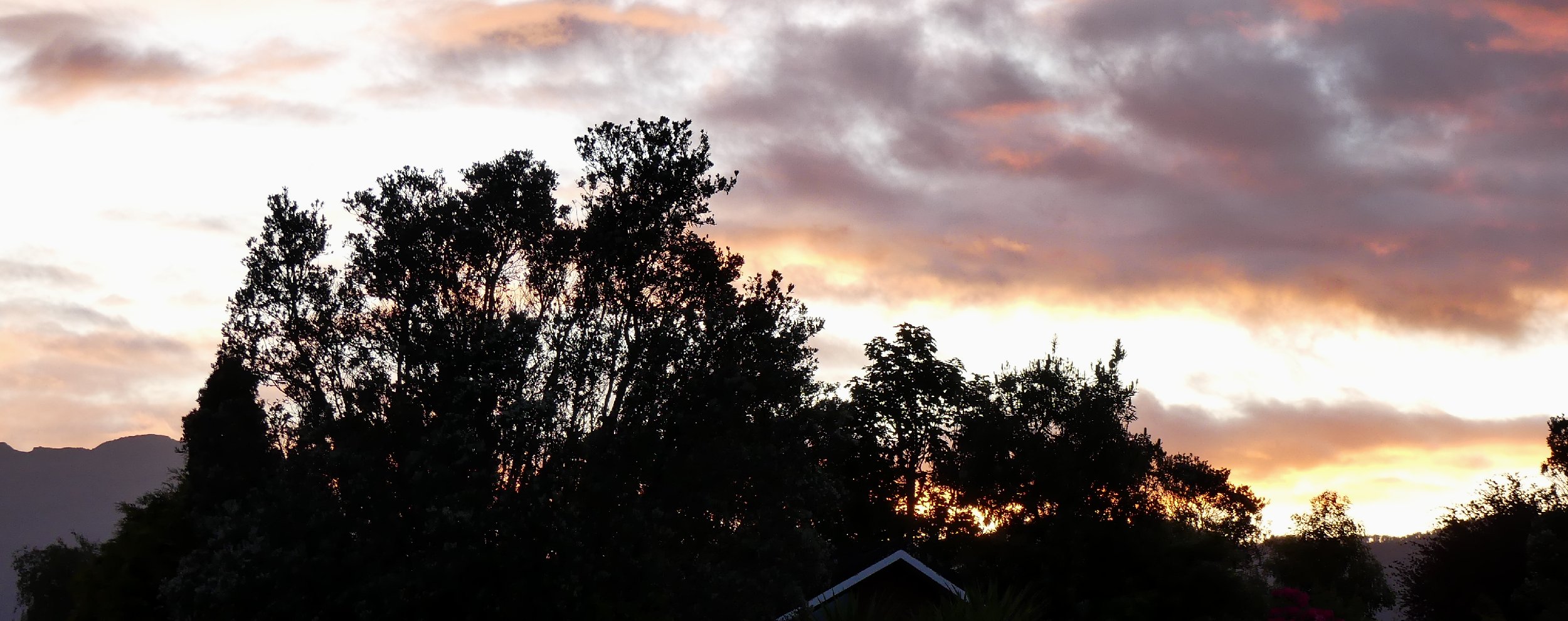 2024_NZ_SI_192.JPG