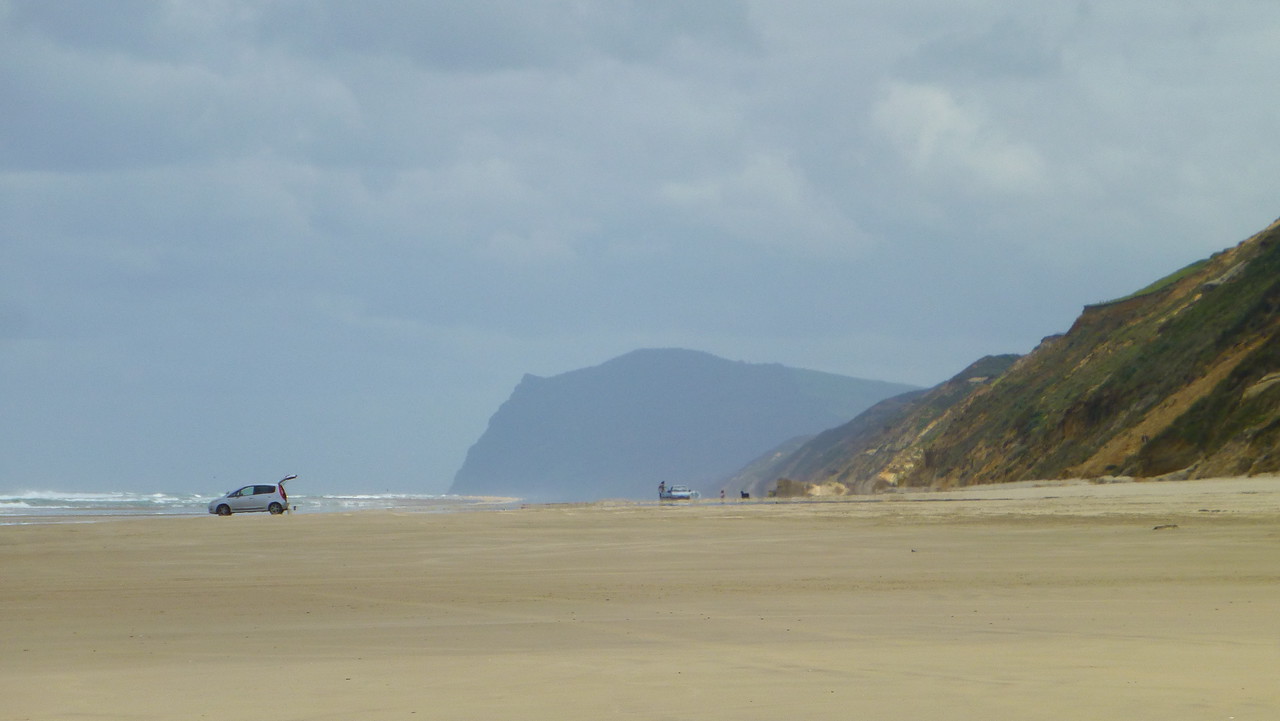 P1080696-X2.jpg