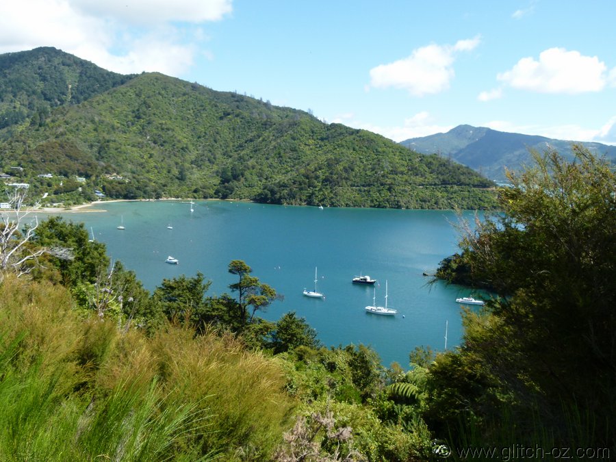 NZ_Feb13_0365.JPG