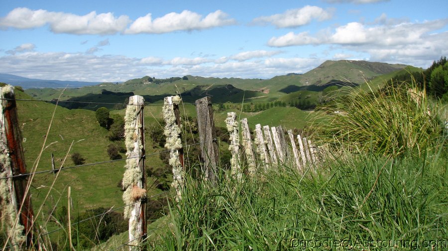 Goodie_NZ12_0029.JPG