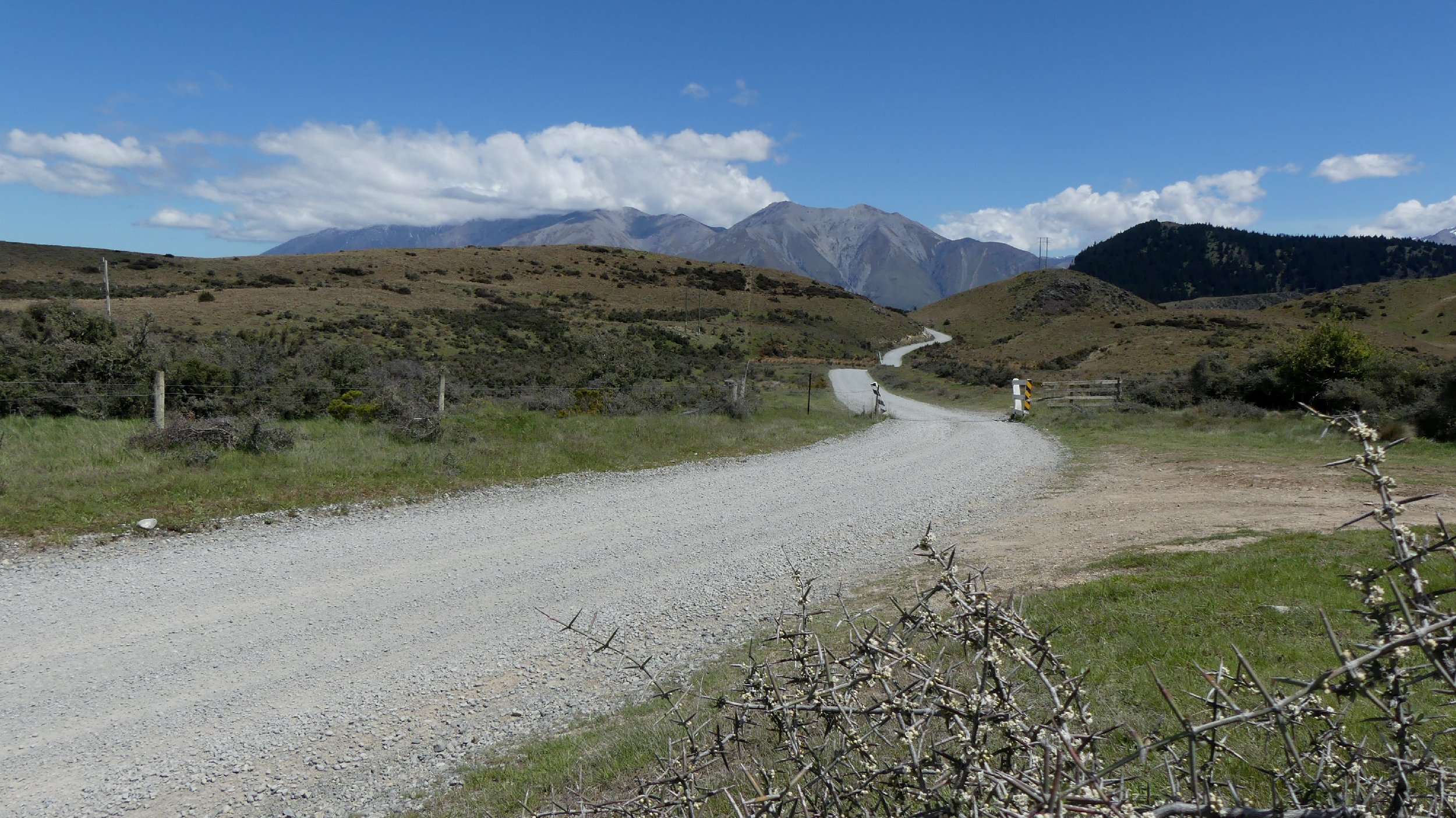 2024_NZ_SI_214.JPG