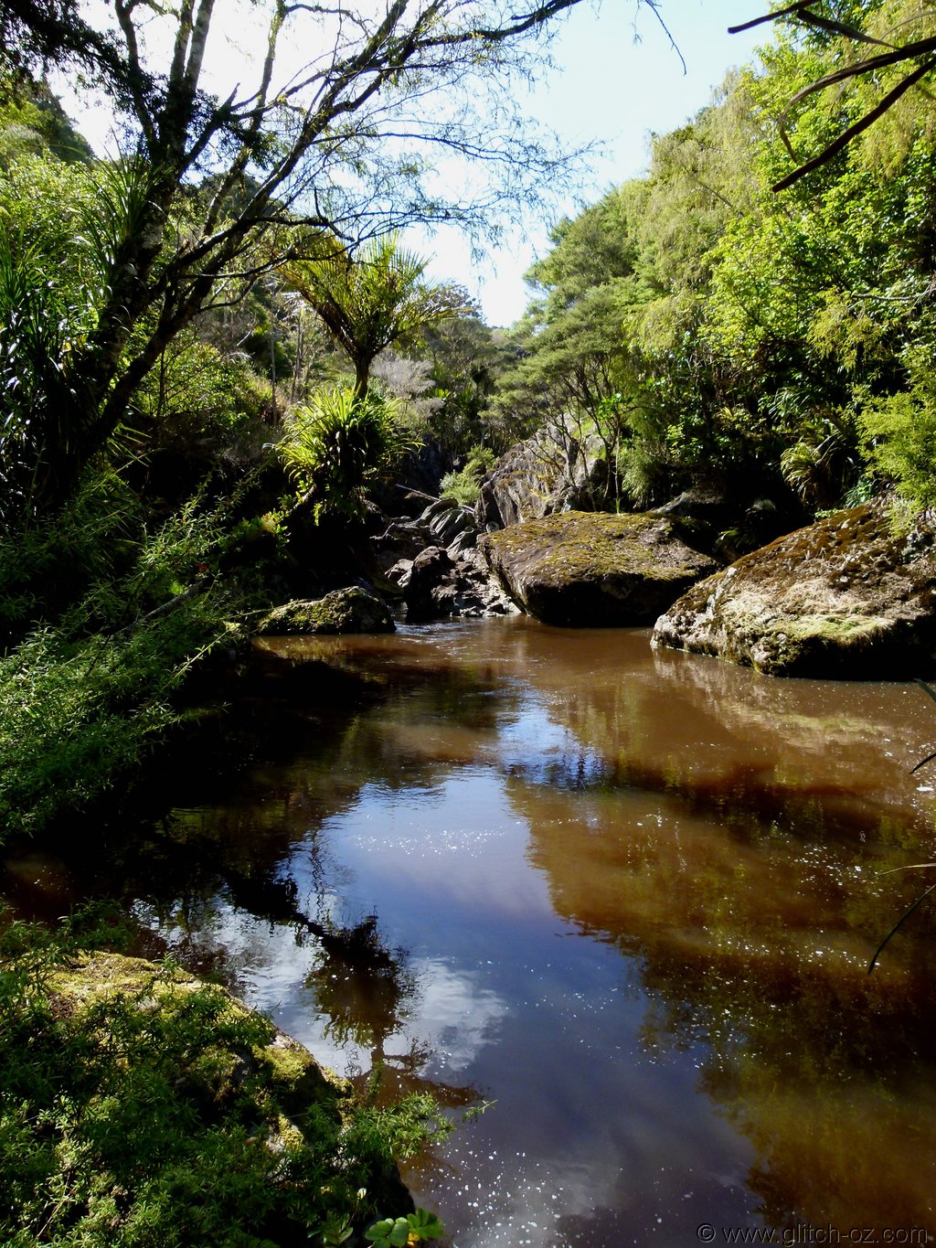 Tiddlers_NZ14_137.JPG