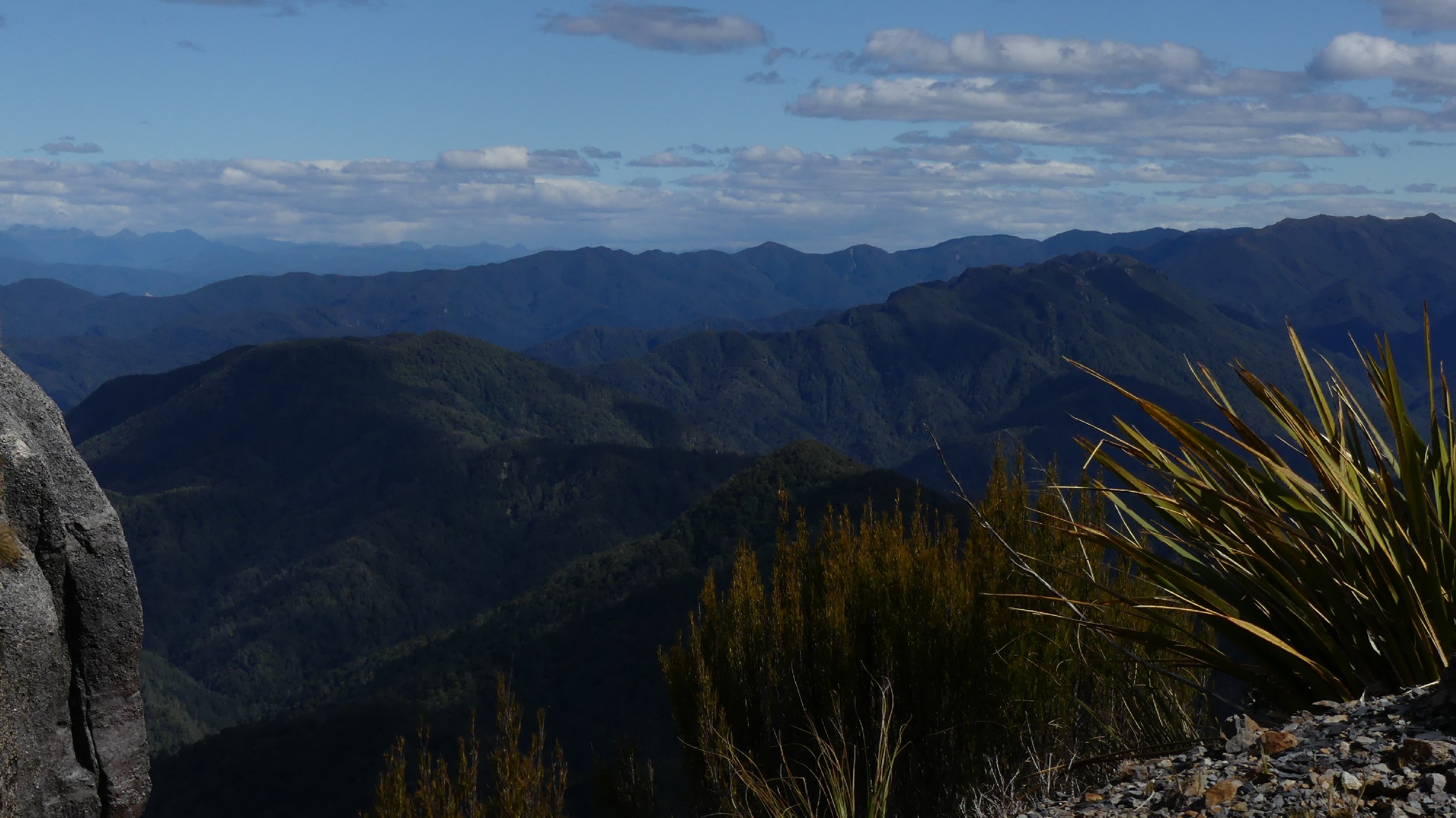 2024_NZ_SI_185.JPG