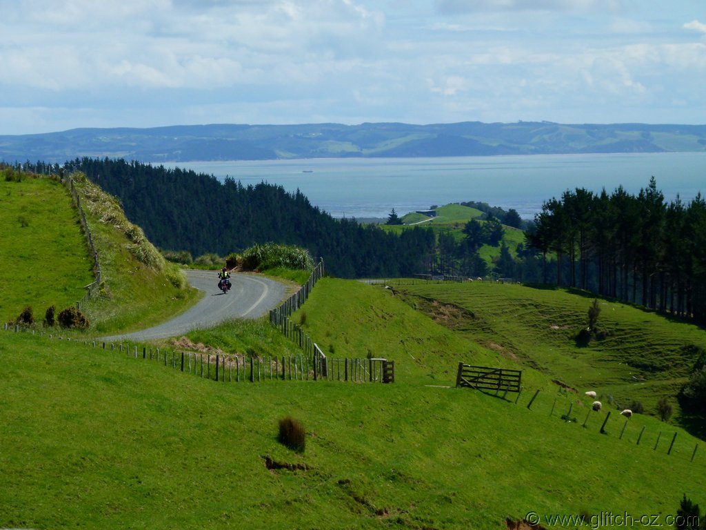 Tiddlers_NZ14_362.JPG