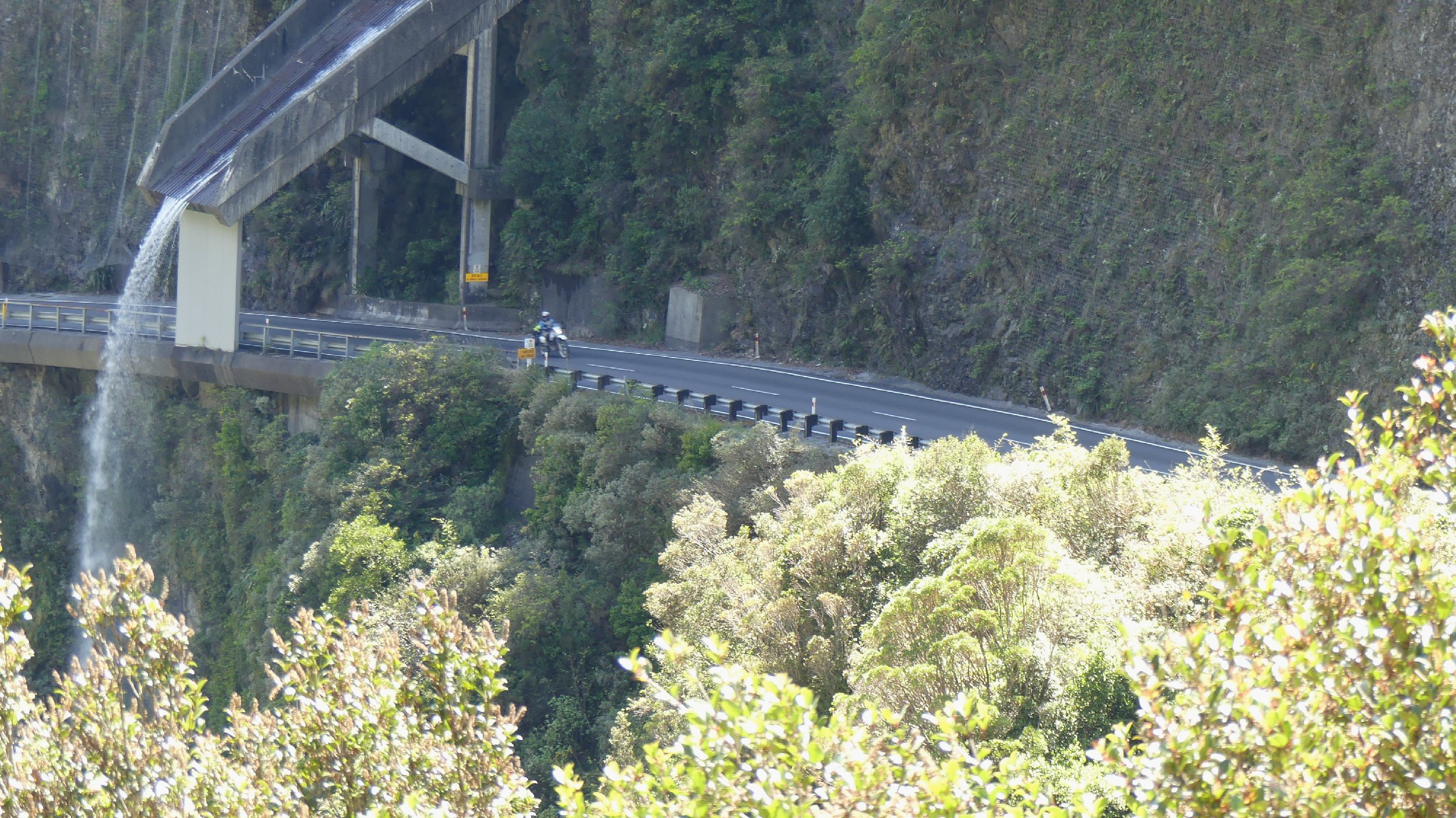 2024_NZ_SI_201.JPG