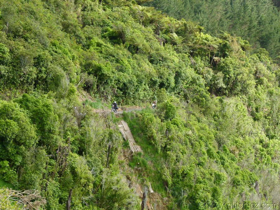 NZ_Nov12_0012.JPG