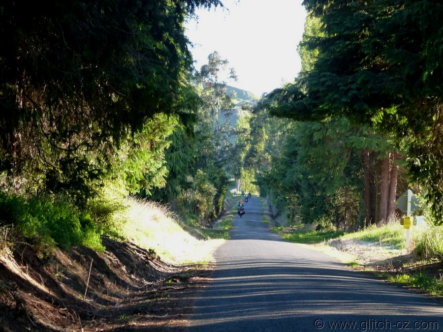 NZ_Nov12_0133.JPG