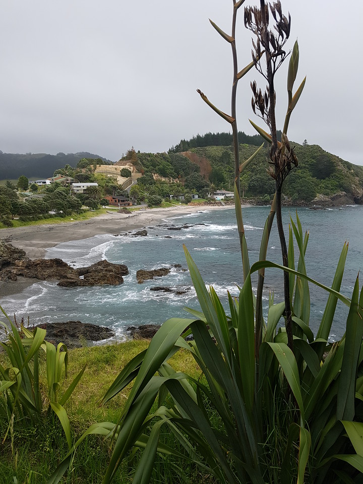 20171104_110457-X2.jpg