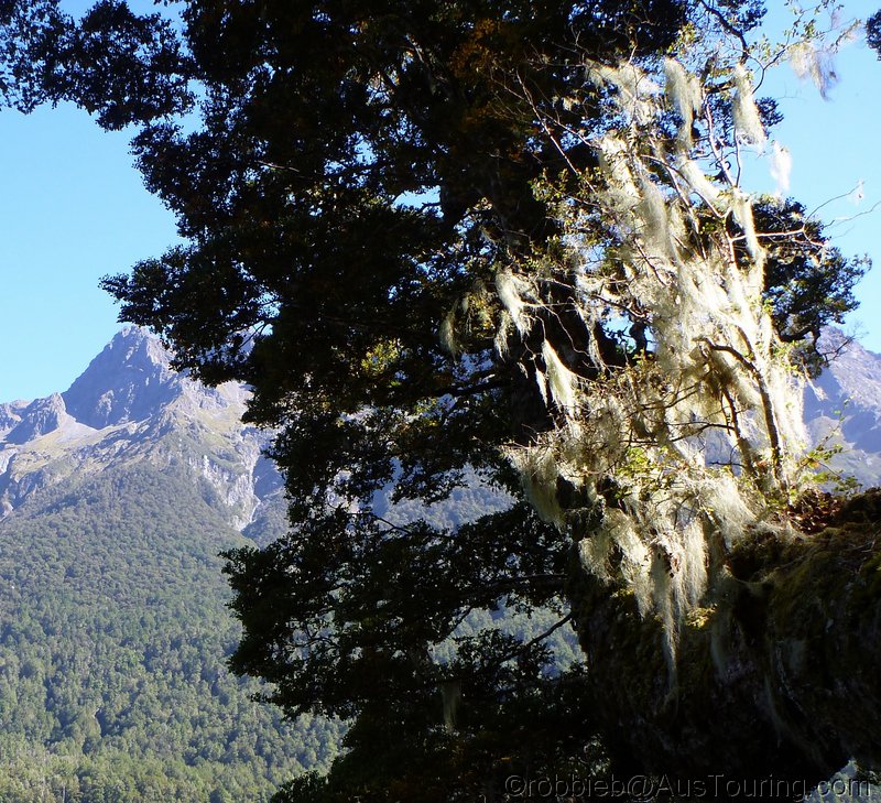 NZ_SI_2012_0755.JPG