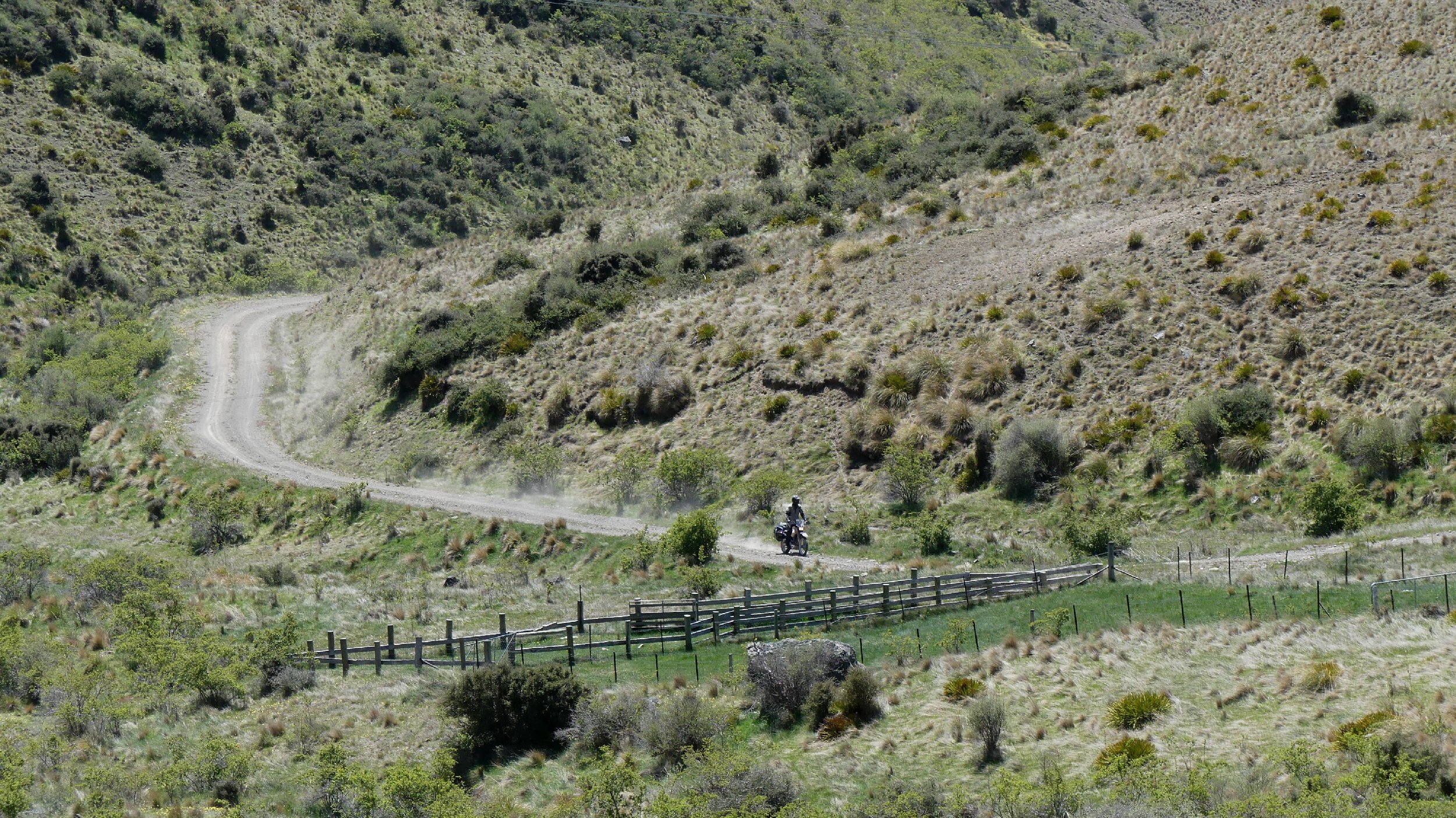 2024_NZ_SI_242.JPG