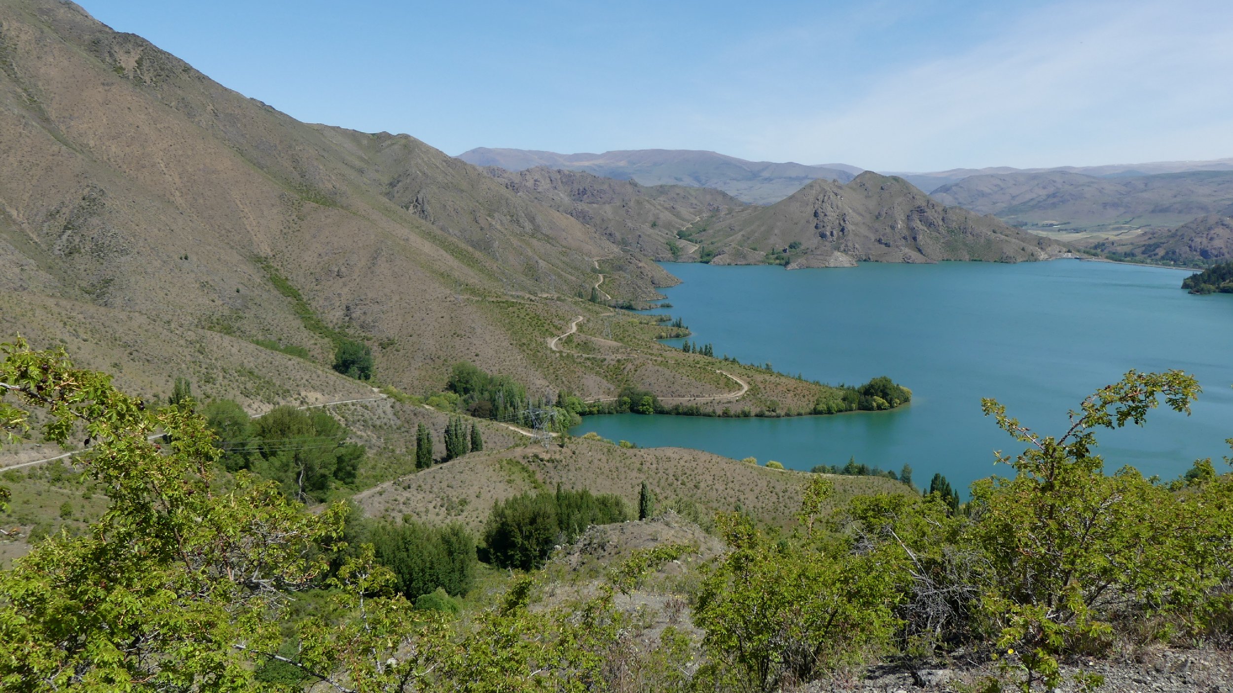 2024_NZ_SI_253.JPG