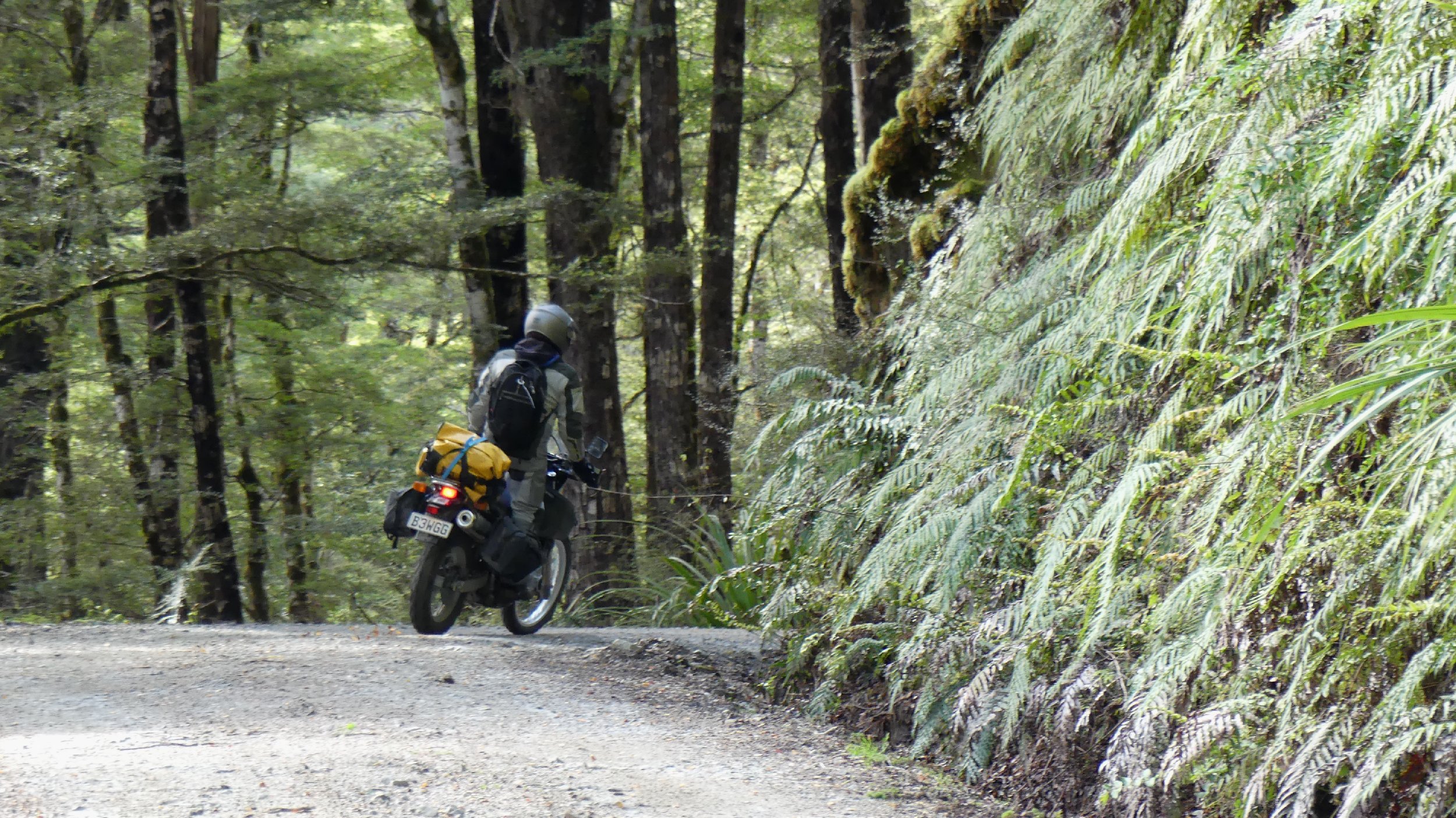 2024_NZ_SI_175.JPG