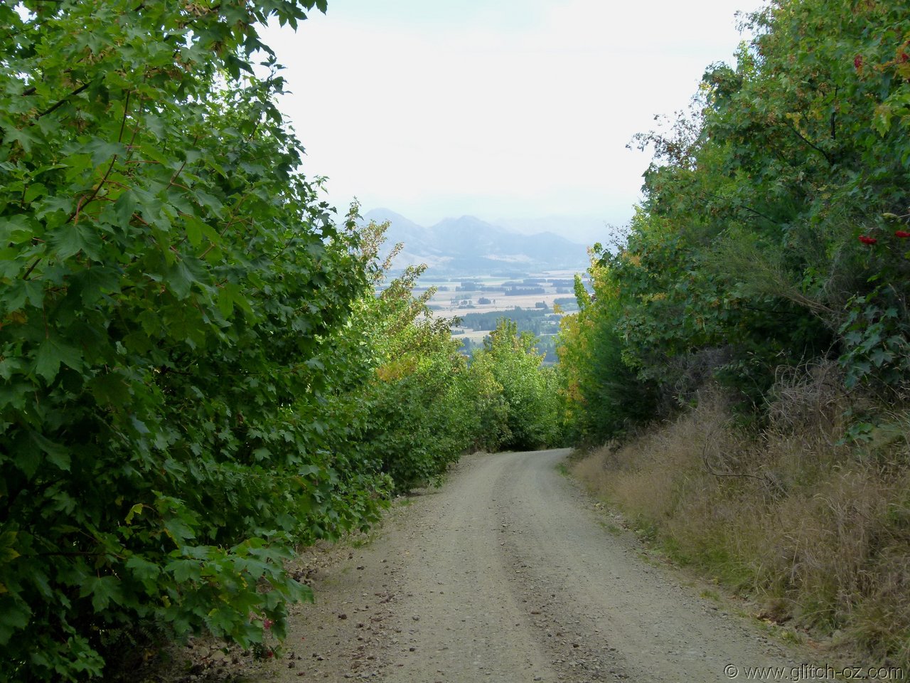 SweetAs_137.JPG