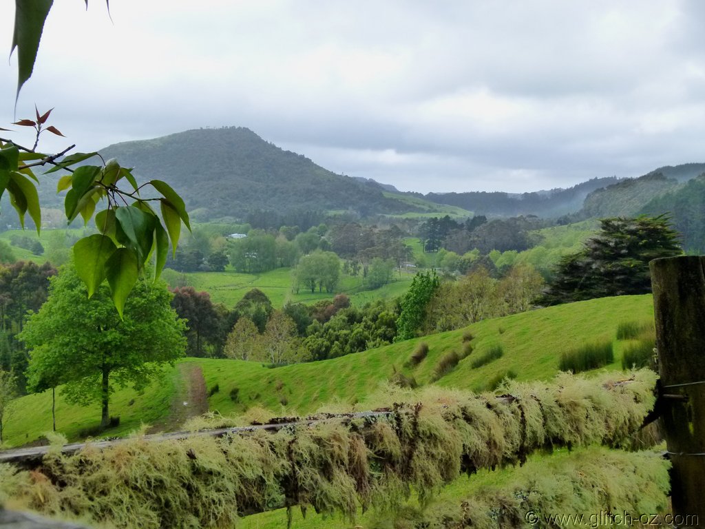 Tiddlers_NZ14_033.JPG