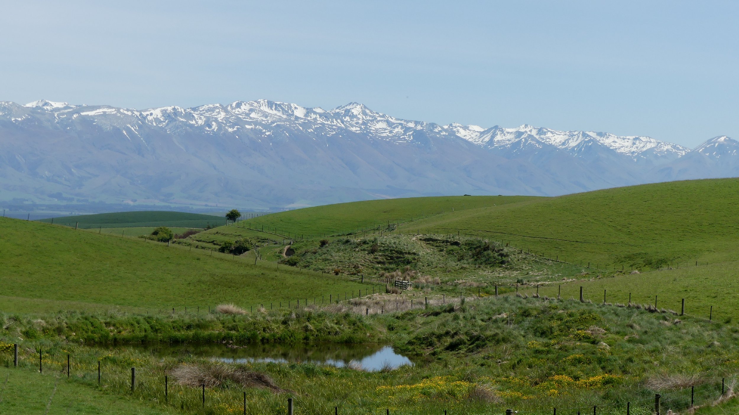 2024_NZ_SI_223.JPG