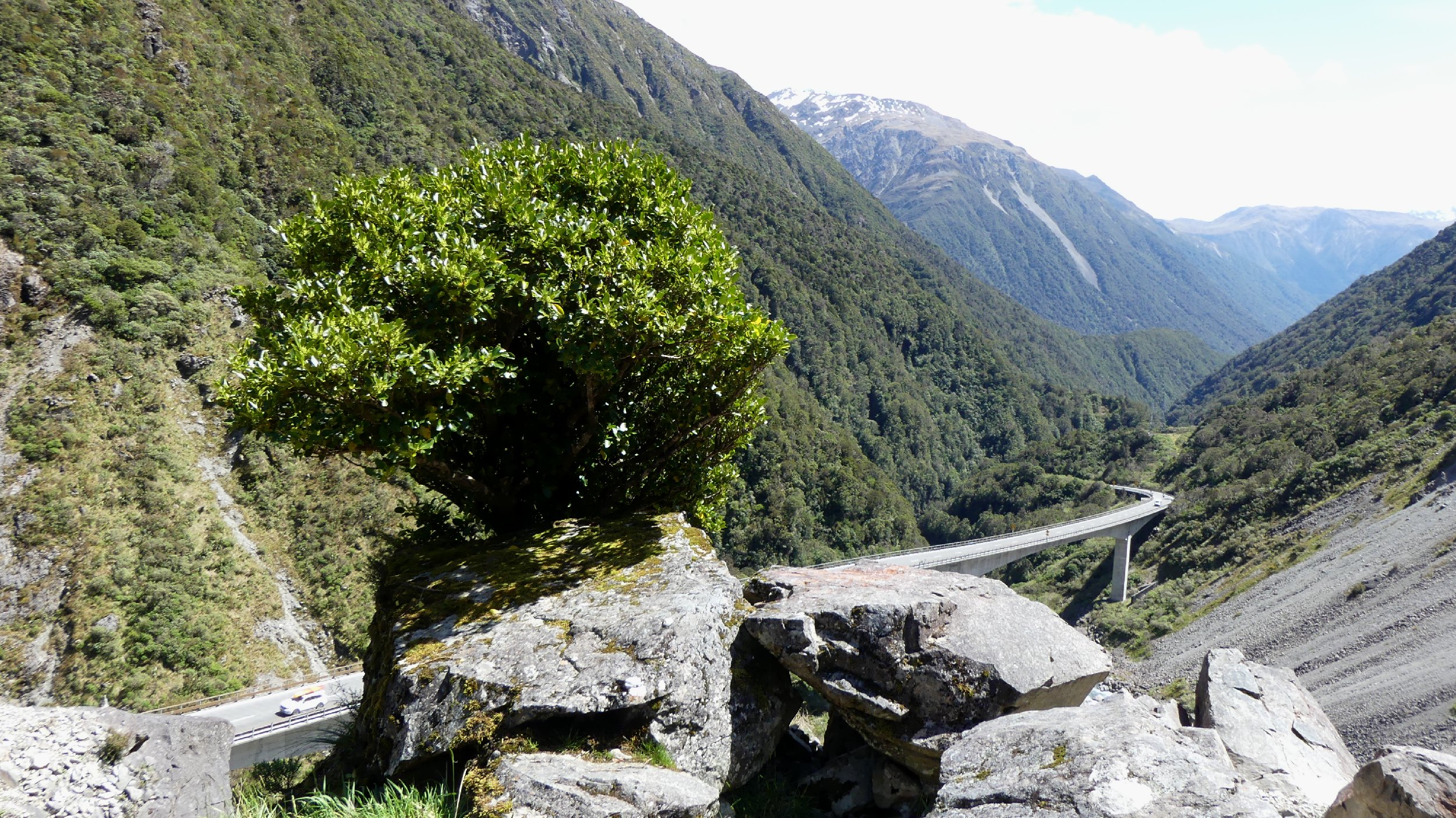 2024_NZ_SI_204.JPG