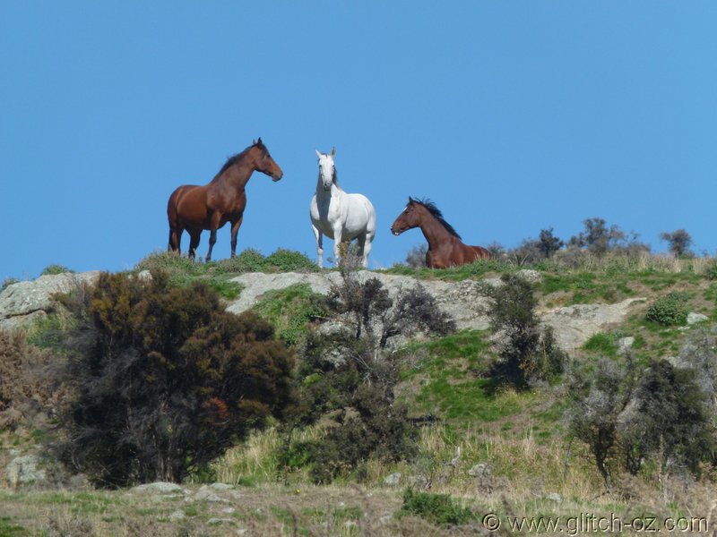 NZ_SI_2012_0811.JPG
