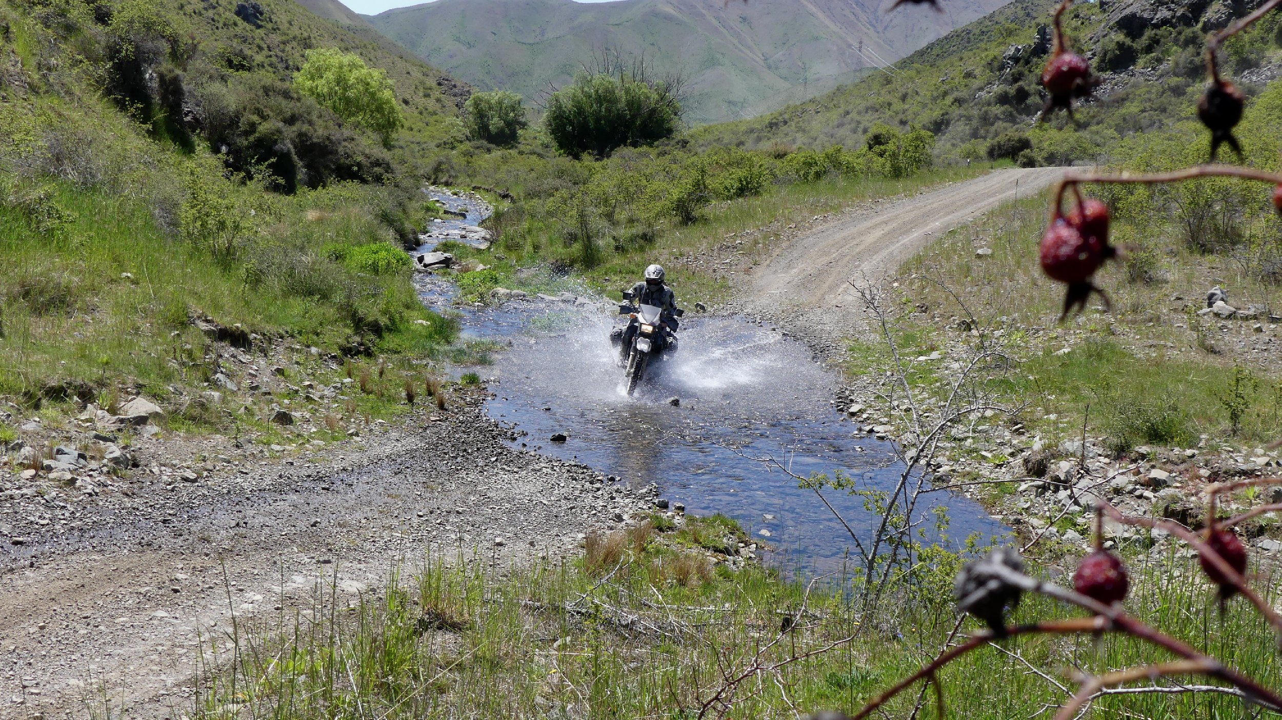 2024_NZ_SI_239.JPG