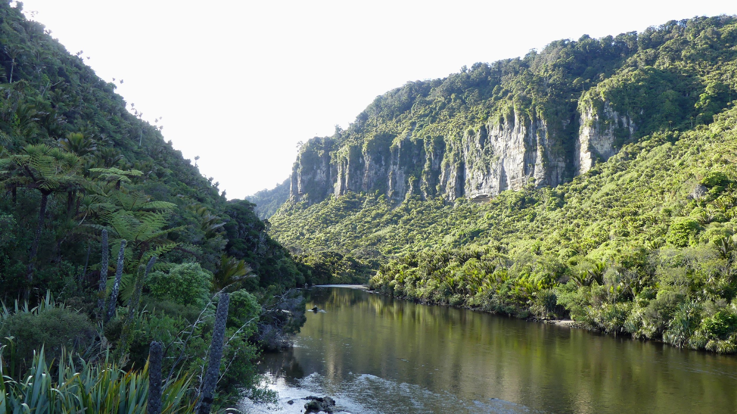 2024_NZ_SI_199.JPG
