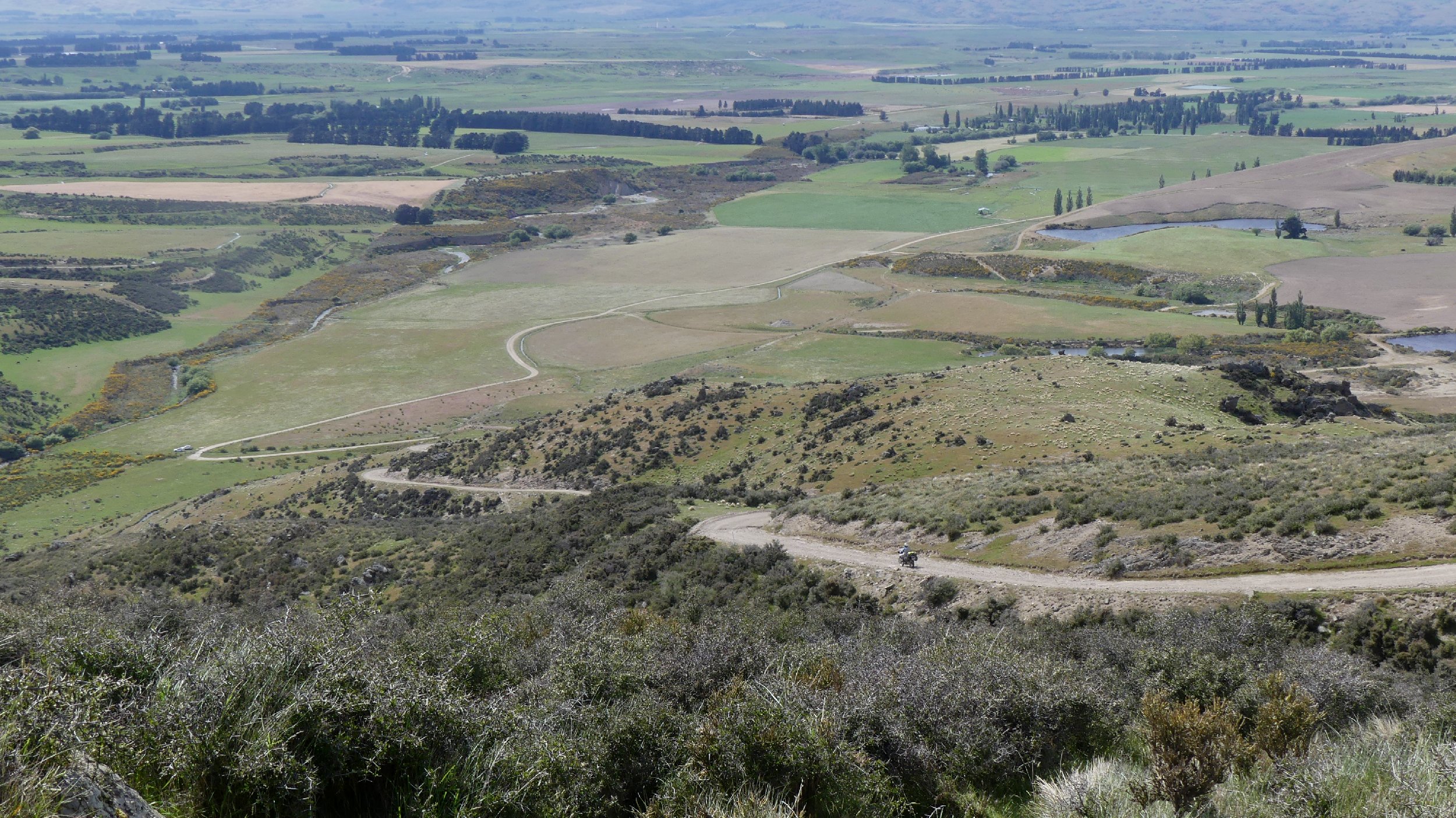 2024_NZ_SI_364.JPG