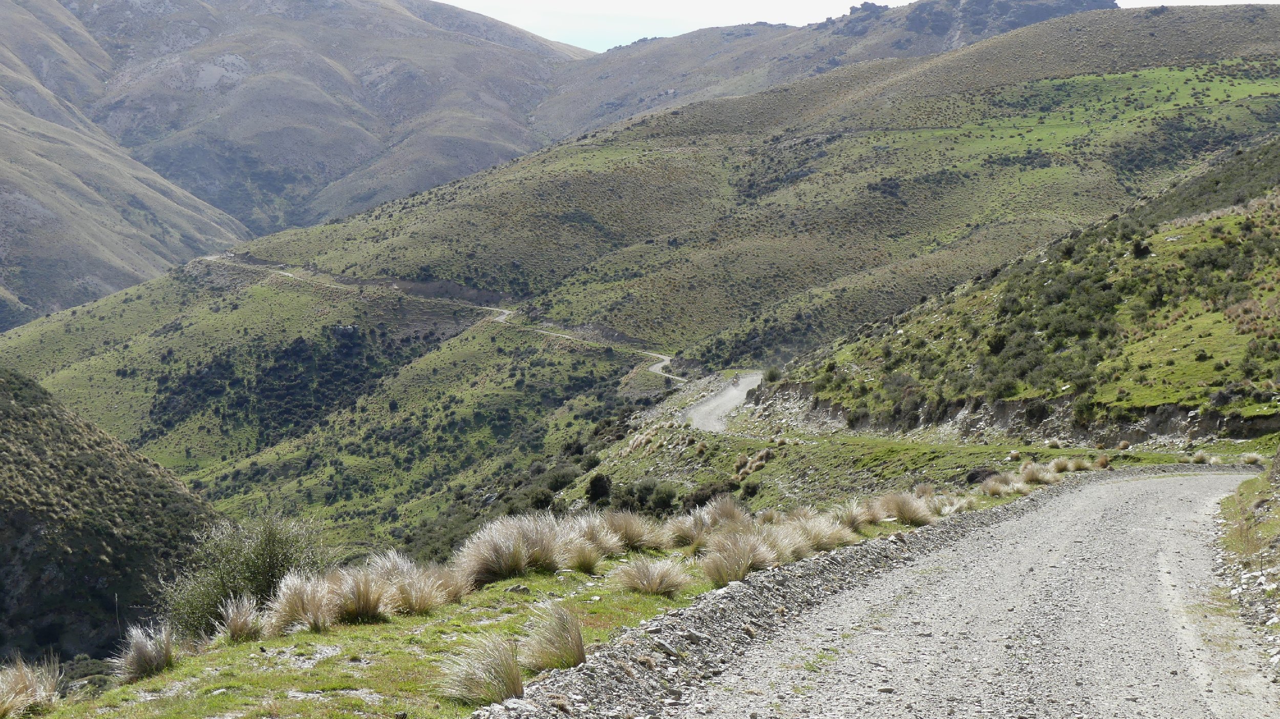 2024_NZ_SI_363.JPG